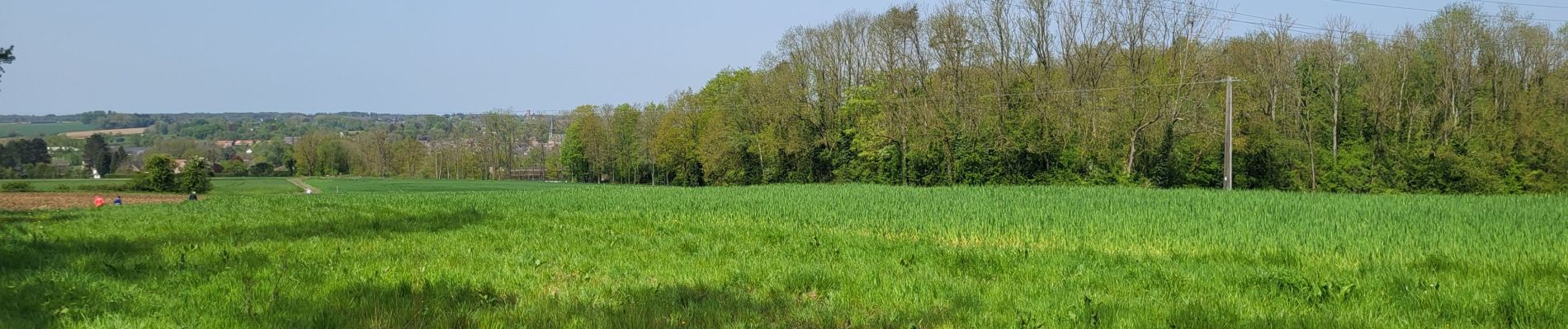 Tocht Stappen Gerpinnes - Marche Adeps Gerpinnes - Photo