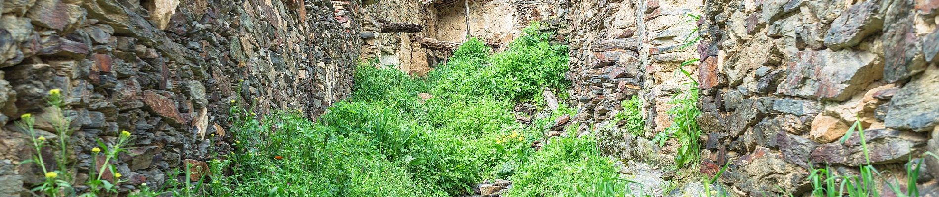 Excursión A pie Patones - Ruta 1: Subida al Cancho de la Cabeza por el Arroyo de Patones - Photo