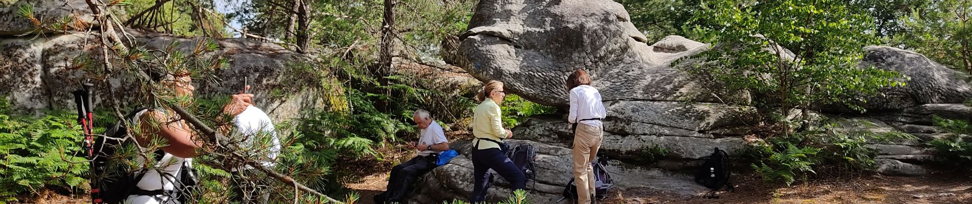 Excursión Senderismo Fontainebleau - Le mont aigu  - Photo