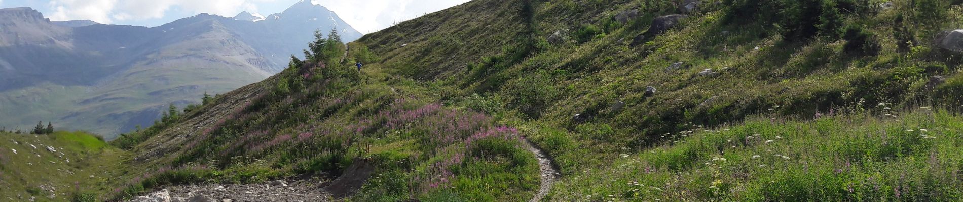 Tour Wandern Tignes - tigne et le lac du chevril - Photo