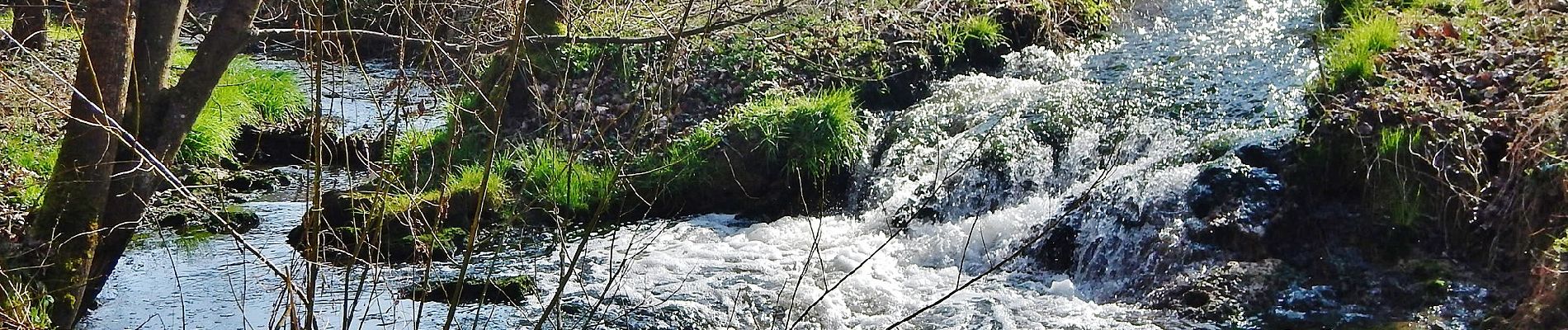 Excursión A pie Markgröningen - DE-SAV Roter Punkt, von - nach? - Photo