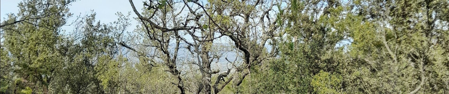 Tour Wandern Alleins - vernegues table orientation  - Photo