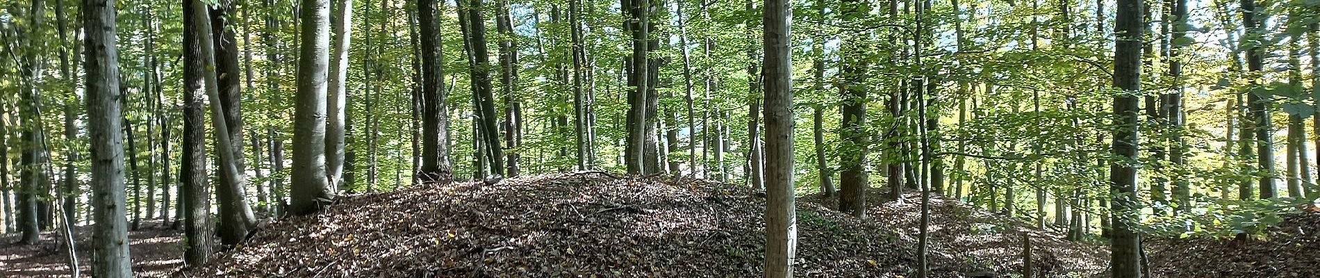 Randonnée A pied Tieschen - Weinbergweg - Photo