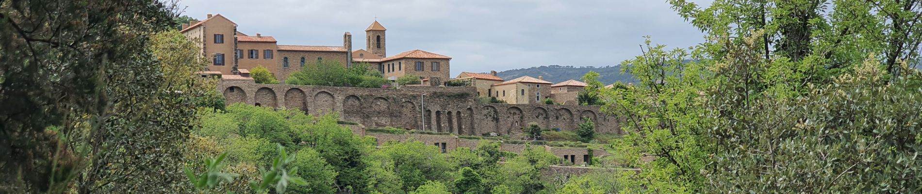 Tour Wandern Collobrières - Rando La Verne - Photo