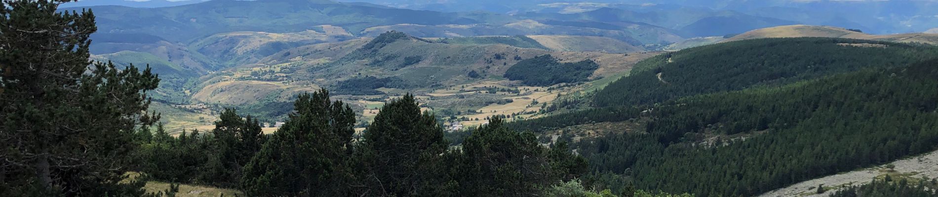 Excursión Senderismo Mont Lozère et Goulet - Mont Lozère, col Finiels  - Photo