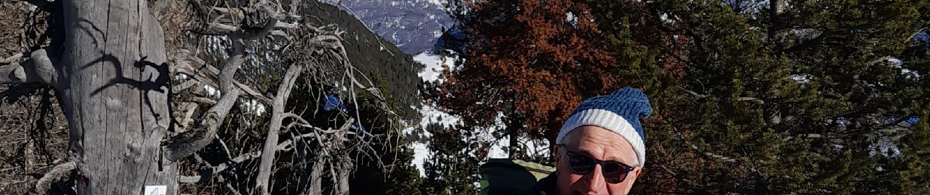 Tour Schneeschuhwandern Montgenèvre - balcon de montgenervre . mercredi - Photo