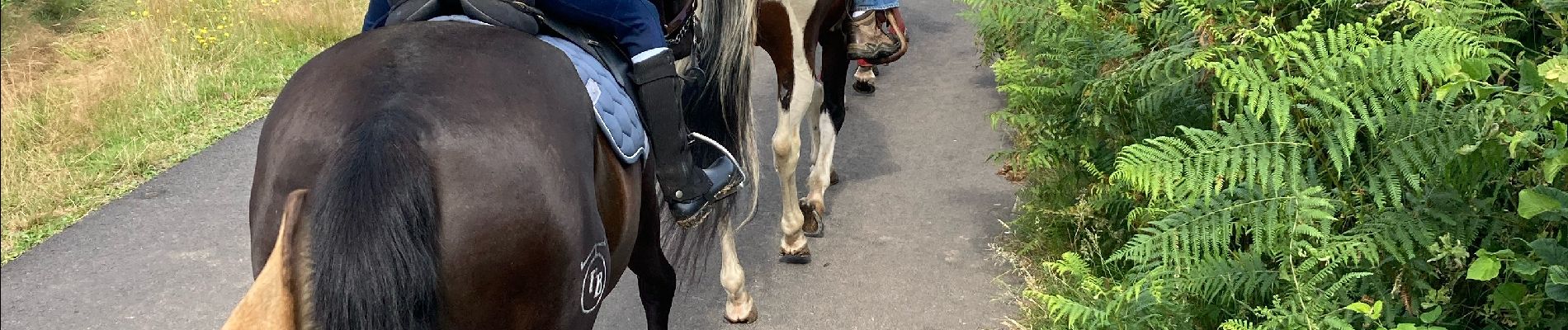 Trail Horseback riding Montsauche-les-Settons - Tracé cimetière militaire stèle  - Photo