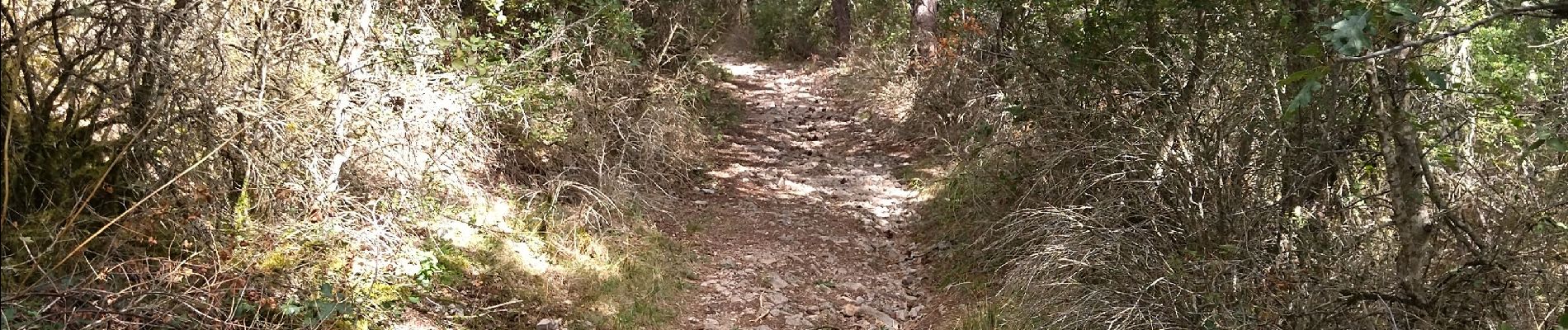 Trail Walking Valbelle - 04 chapelle St Pons 03.08.23 - Photo