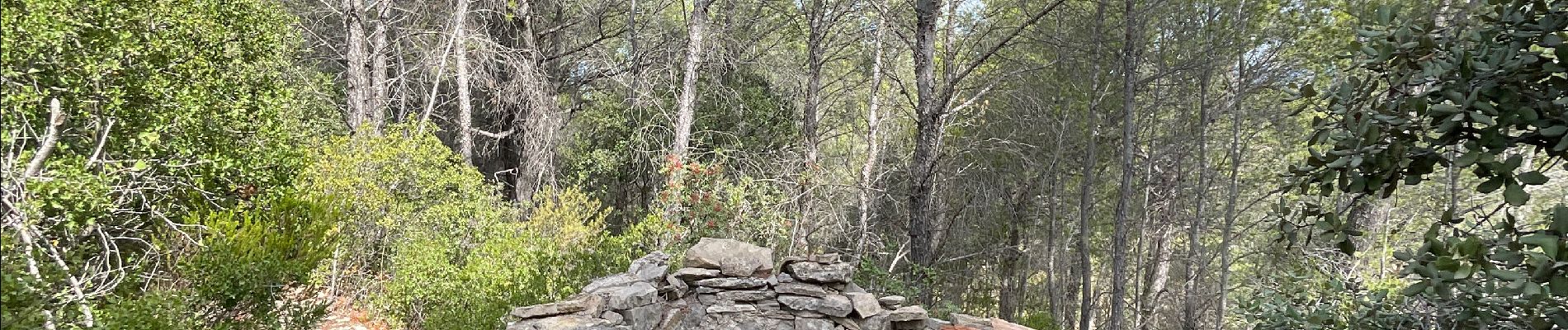 Tour Wandern La Cadière-d'Azur - LA CADIERE  - Photo