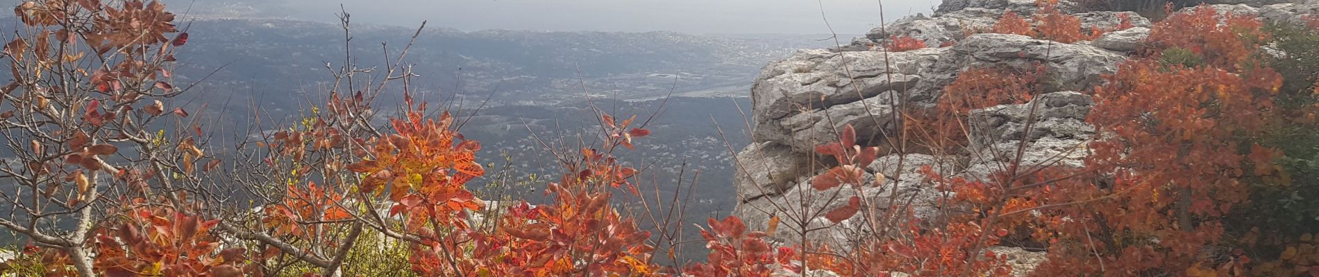 Tour Wandern Saint-Jeannet - Circuit du Castelet - Photo