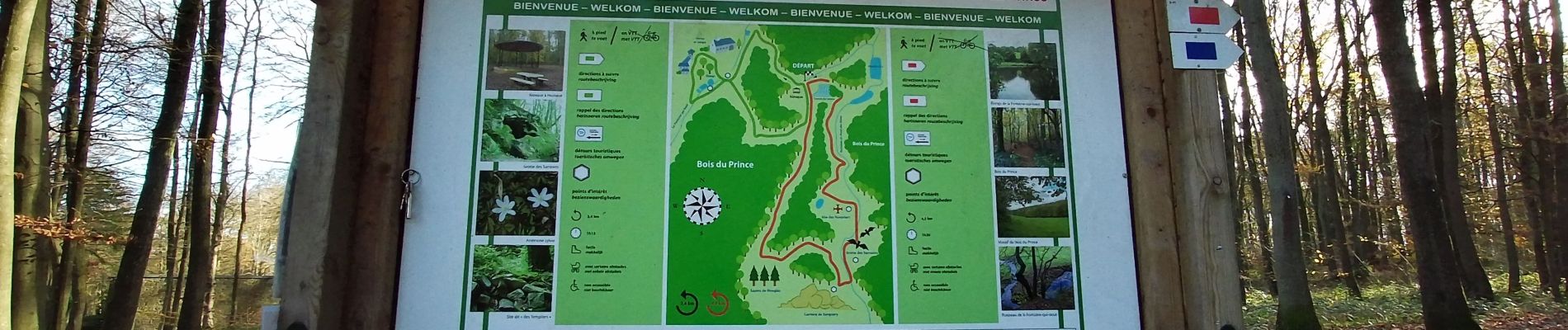 Tour Wandern Charleroi - Promenade du Bois du Prince - Photo