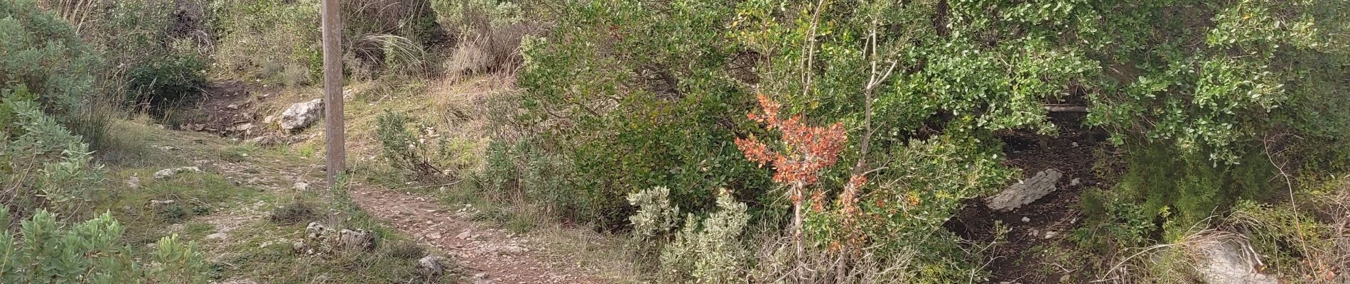 Tocht Stappen Roquevaire - Source de Barquieu - Photo