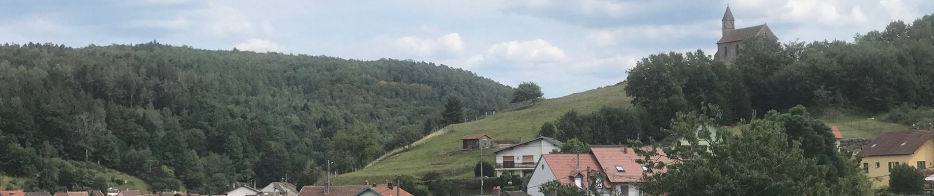 Tour Wandern Sankt Quirin - 2020-07-19 St quirin 3 Roses - Photo