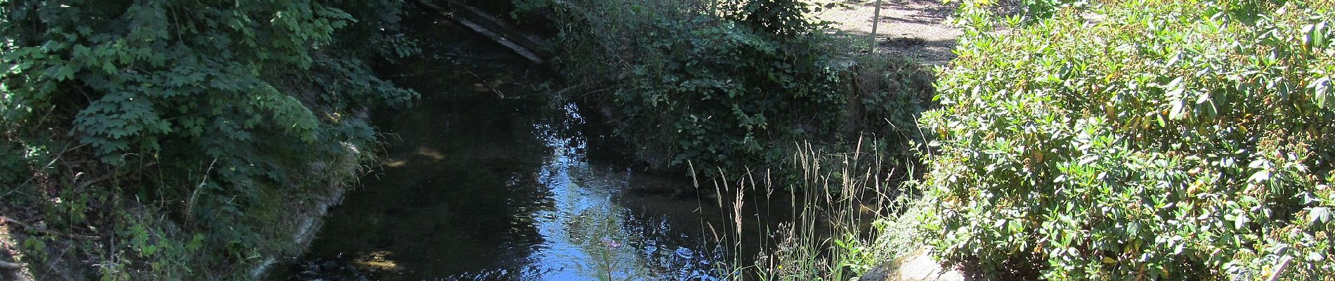 Tour Zu Fuß Bad Emstal - Bad Emstal, E12 - Kuppenweg - Photo