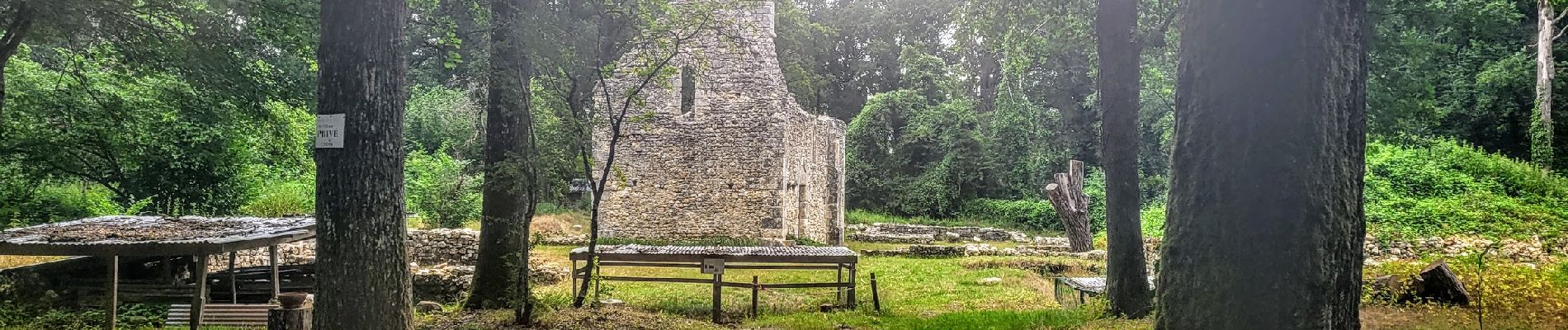 Randonnée Marche Le Vaudoué - Boucle autour de Le Vaudoue - Photo