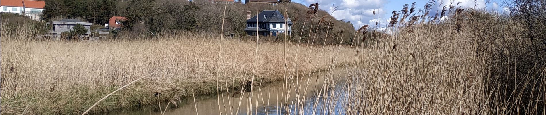 Tour Wandern Ambleteuse - randonnée de la slack Ambleteuse  - Photo