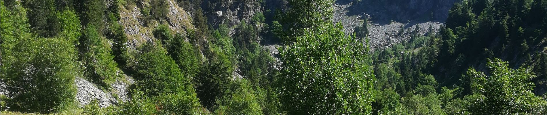 Tocht Stappen Saint-Martin-d'Uriage - cascade de l'oursiere 2019 - Photo
