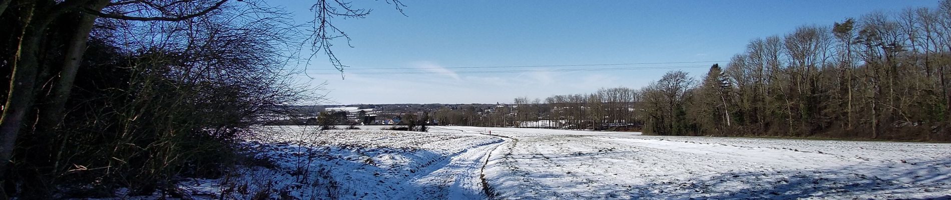 Tocht Stappen Gerpinnes - Balade à Gerpinnes - Photo