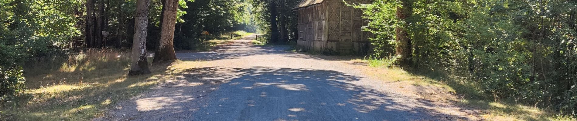 Trail Walking Chenonceaux - etang des jumeaux  - Photo