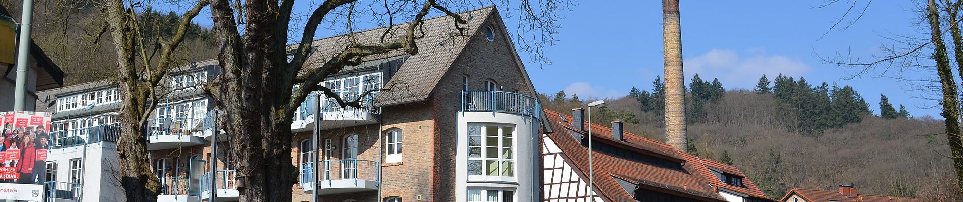 Percorso A piedi Hofheim am Taunus - Rundwanderweg Eichhorn - Photo