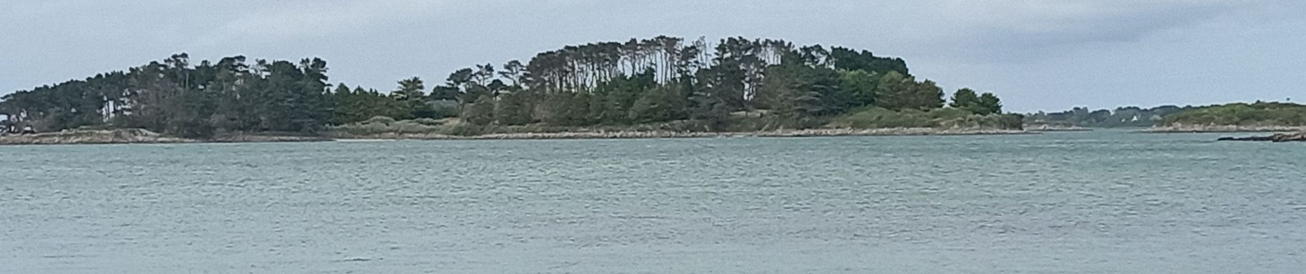 Randonnée Marche Trébeurden - boucle Île Grande  - Photo