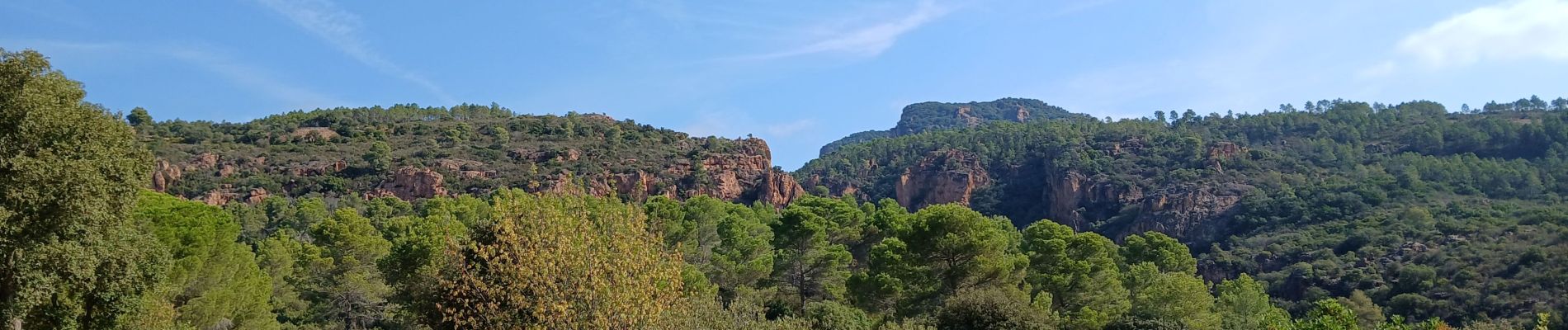 Trail Walking Roquebrune-sur-Argens - Entre La Bouverie et La Lieutenante - Photo