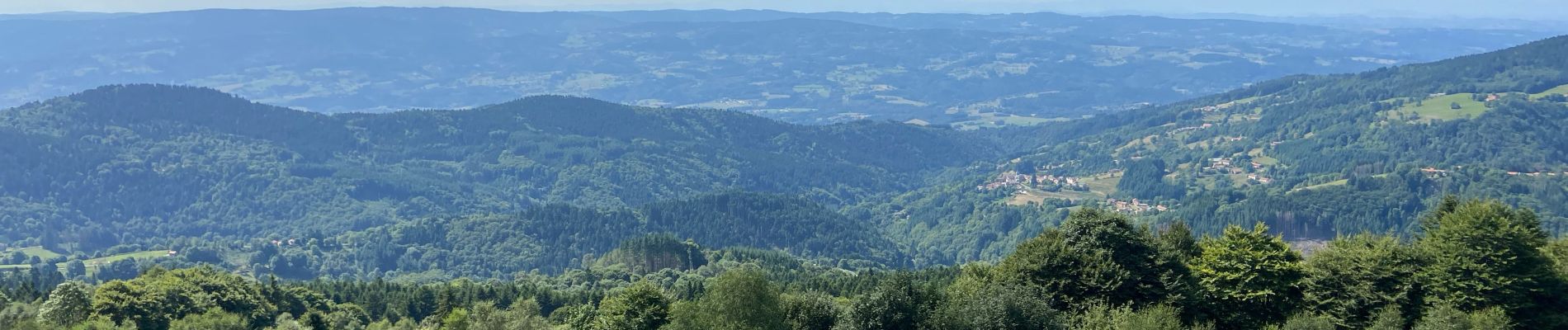 Tour Wandern Saint-Anthème - Hautes chaumes jacquerie le coq noir  - Photo