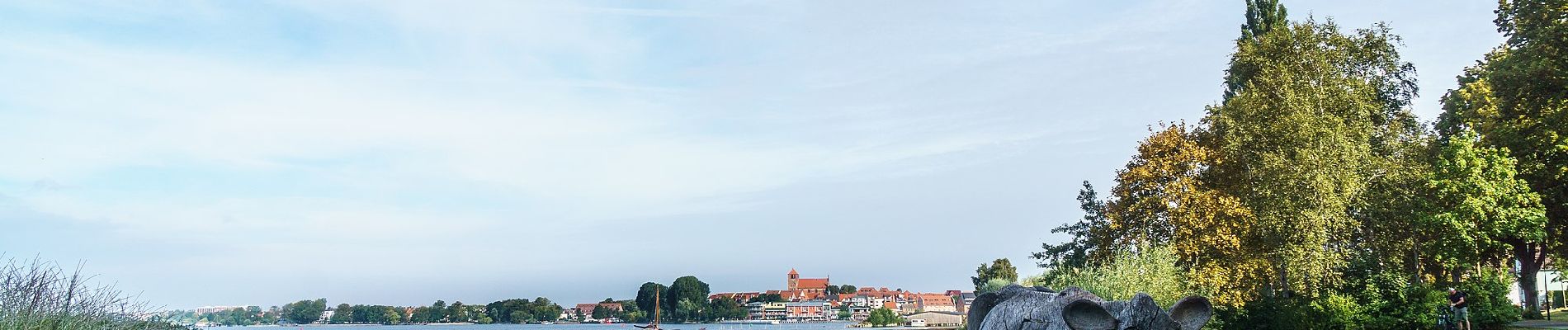 Tocht Te voet Waren (Müritz) - gelber Schmetterling - Photo