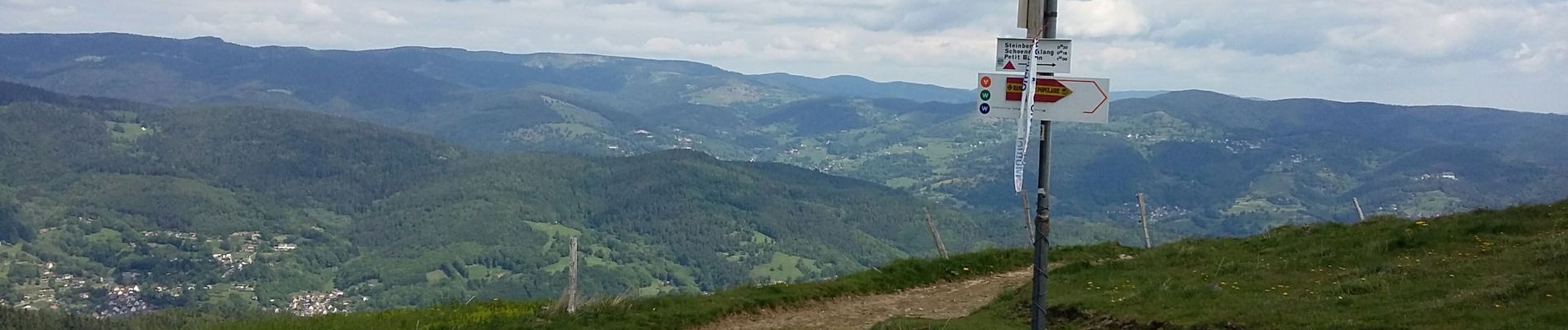 Randonnée Marche Sondernach - mp sondernach 2019 - Photo
