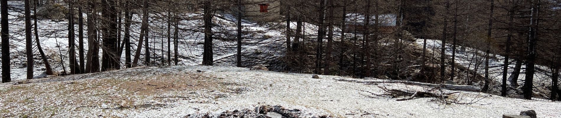 Randonnée Raquettes à neige Saint-Dalmas-le-Selvage - Pointe de Colombart - Photo