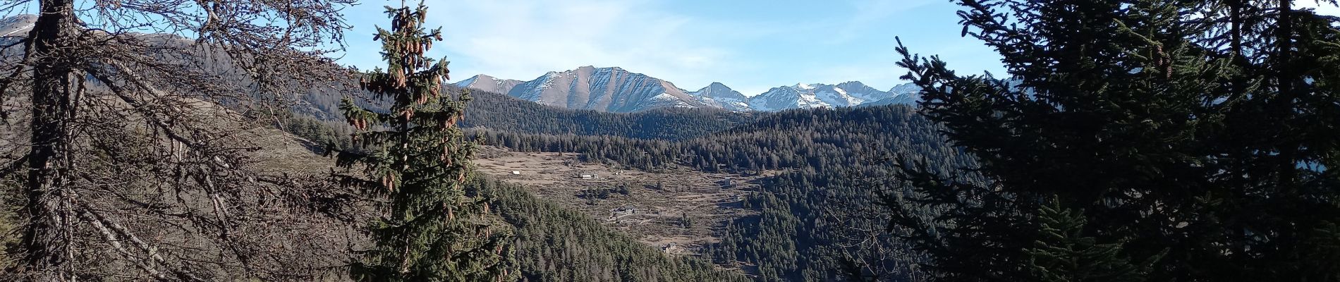 Tocht Stappen Roubion - La Tête de Pommier Pin pourri - Photo