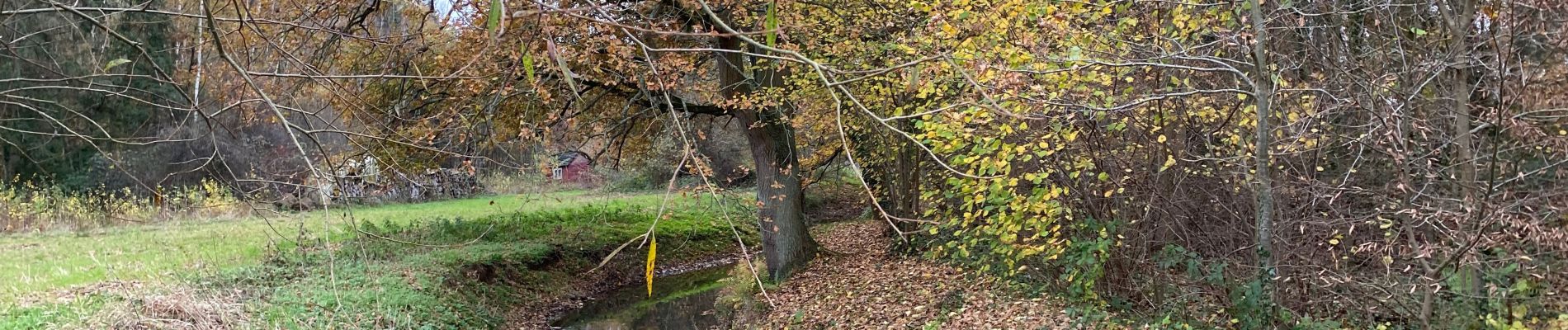 Randonnée Marche Holsbeek - Holsbeek 15 km - Photo