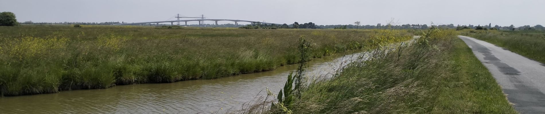 Randonnée V.T.T. Rochefort - 17-vtt-rochefort-tour-17km - Photo