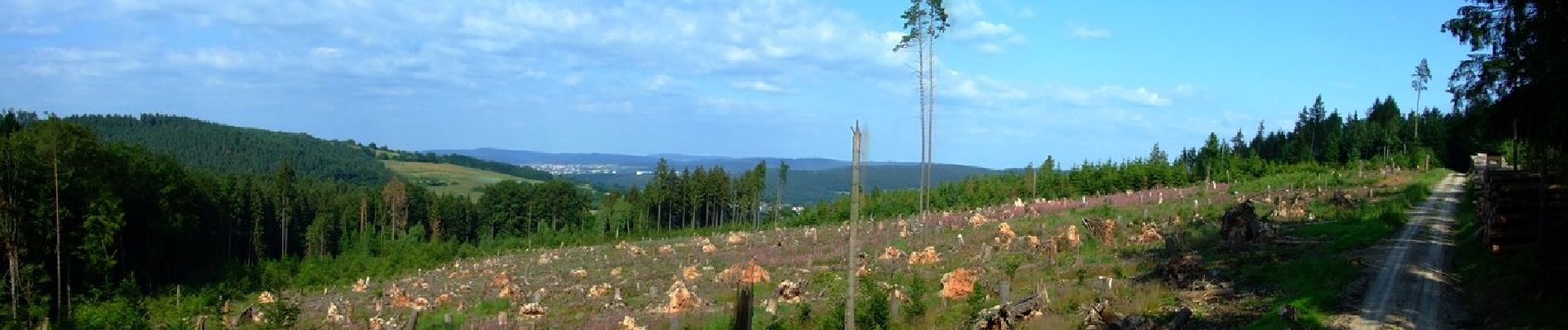 Tocht Te voet Bad Hersfeld - Stellerskuppenweg - Photo