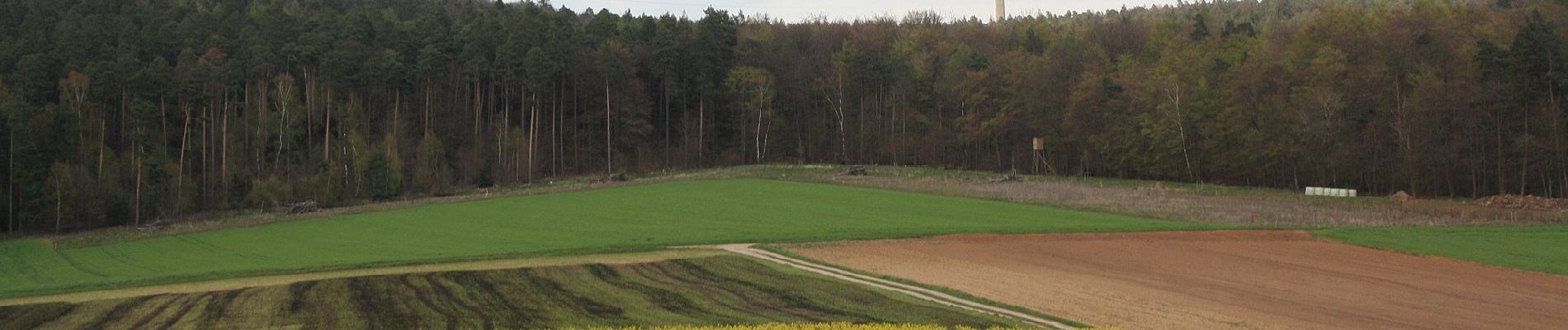 Excursión A pie Fulda - Rundwanderweg Eichberg - Photo