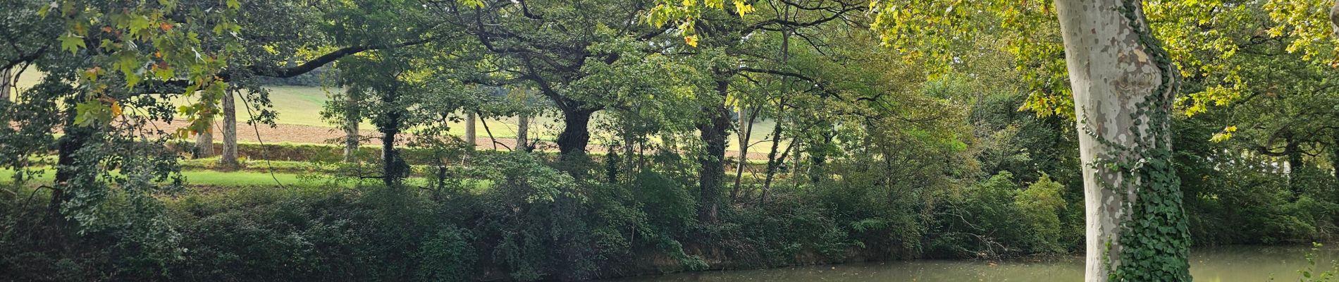 Tour Radtourismus  Toulouse - Canal du midi étape 1 - Photo