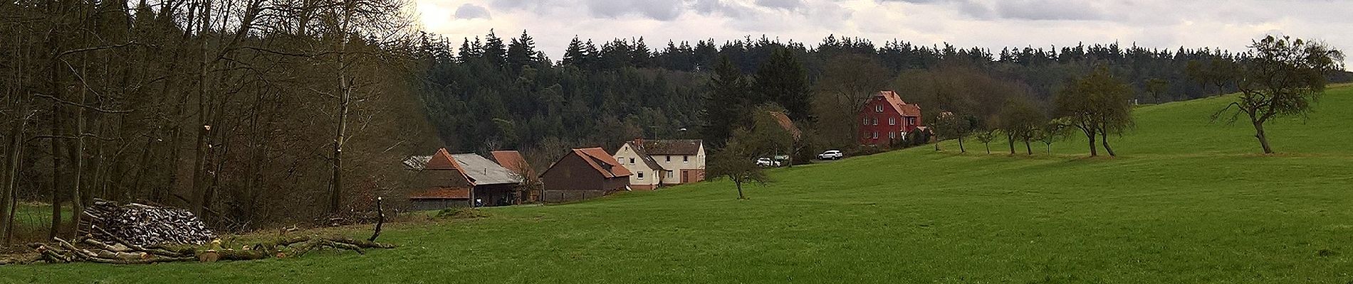 Percorso A piedi Michelstadt - Rundwanderweg Michelstadt Bremhof 5: Brunnthal-Weg - Photo