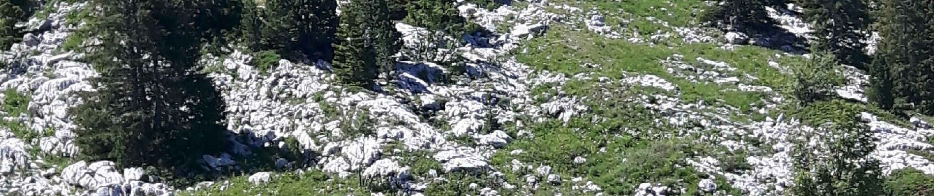 Randonnée Marche Corrençon-en-Vercors - combe de fer - Photo