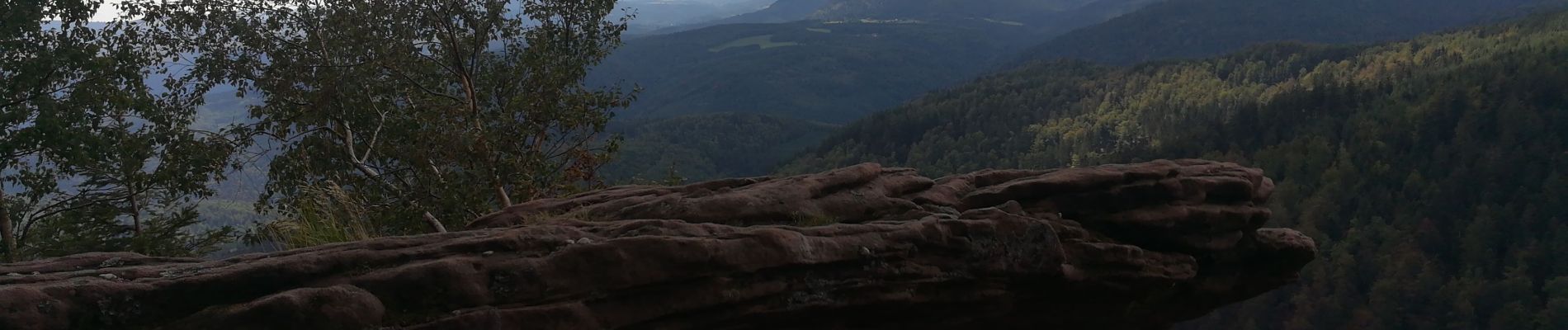 Trail Horseback riding Turquestein-Blancrupt - petit donon - Photo