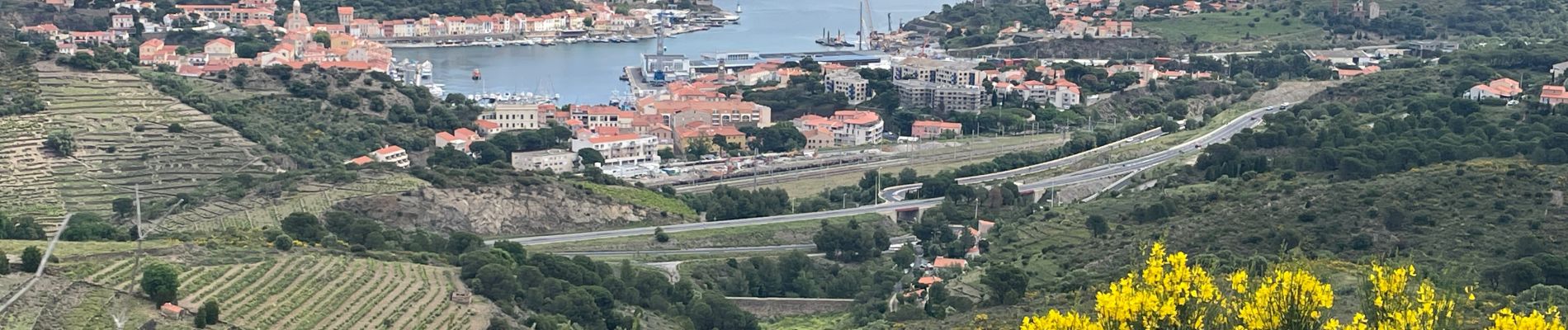 Tocht Stappen Port-Vendres - Port-Vendres - Photo