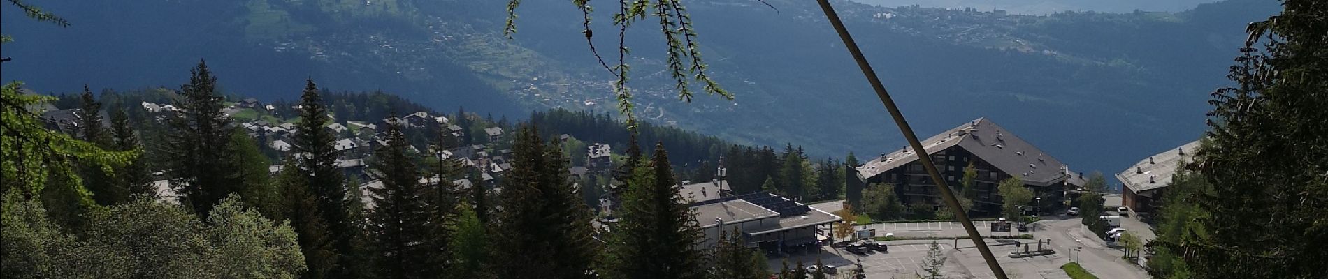 Tocht Noords wandelen Arbaz - Anzère  - Photo