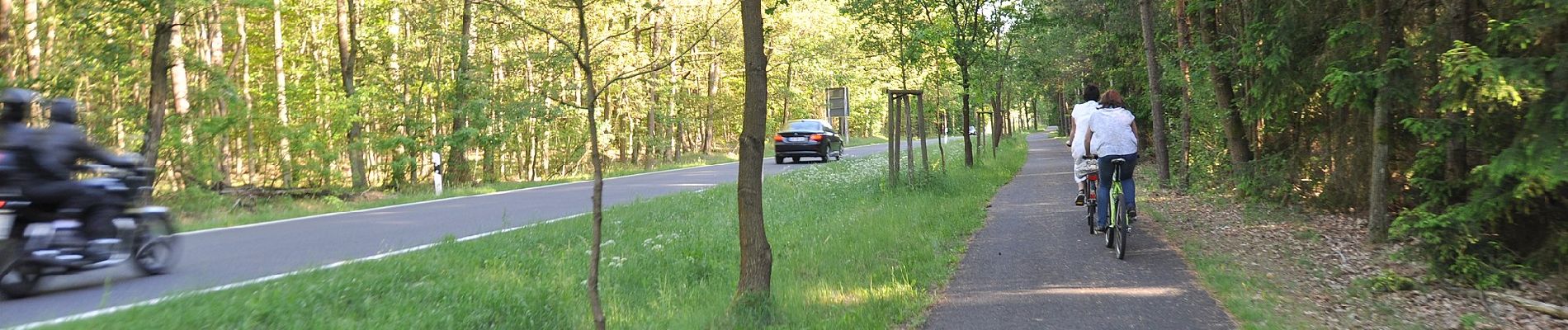 Tocht Te voet Schorfheide - Rundwanderweg Askanierturm - Photo