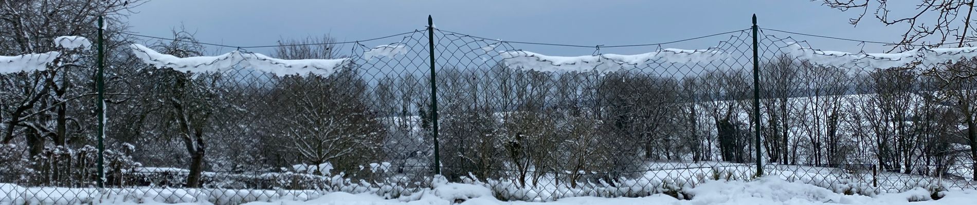 Percorso Marcia Gerpinnes - Hymiée sous la neige  - Photo