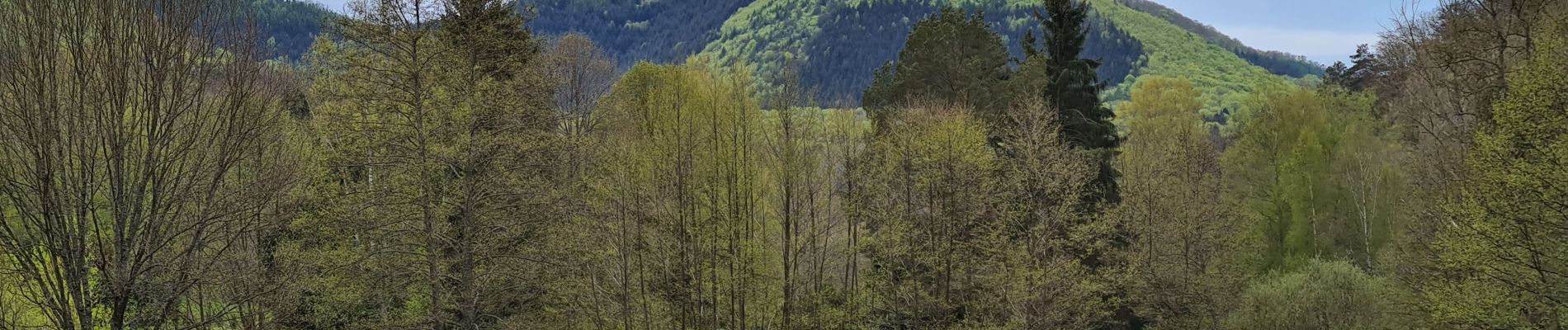 Tocht Stappen Niedersteinbach - Froensbourg - Photo