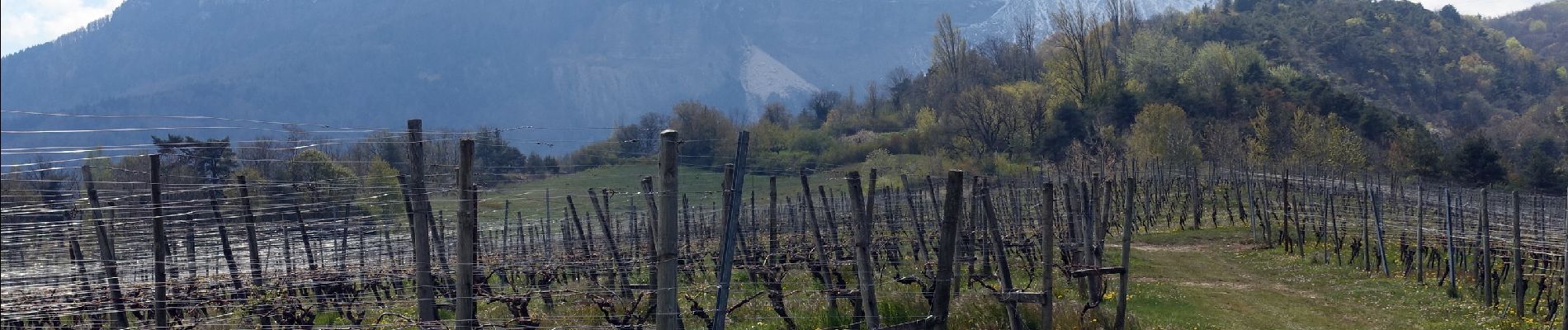 Randonnée Marche Apremont - Cascades du ROUSELET-2021-04-19 - Photo