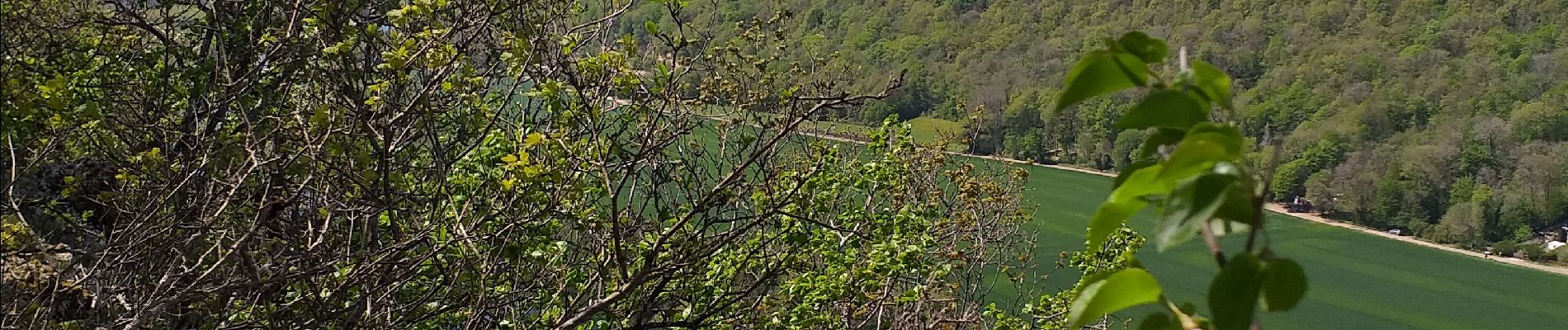 Trail Walking Busy - Busy Vierge du mont - Photo