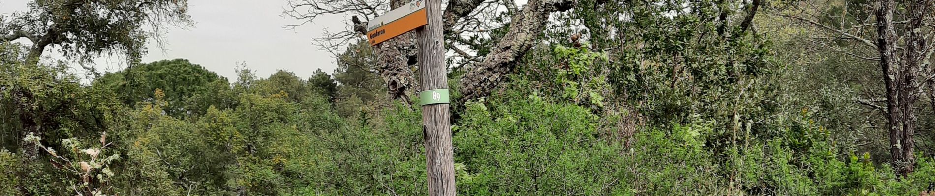 Trail Walking Les Mayons - Les Mayons - le Castel des Maures - Photo