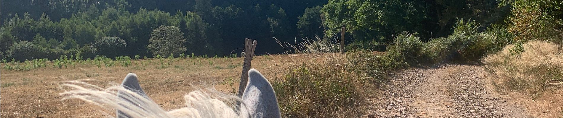 Tour Reiten Cheniménil - Chenimenil - La Haute Verrière  - Photo