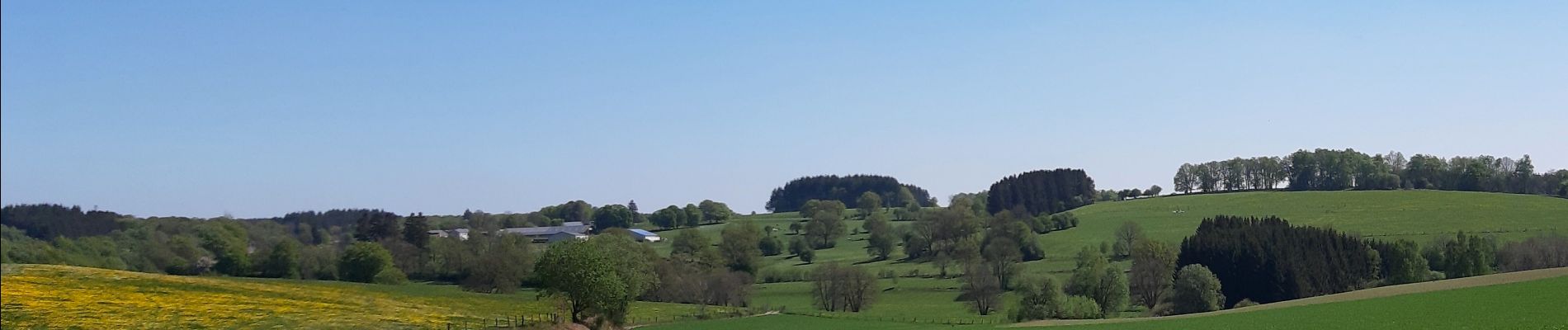 Percorso Marcia Neufchâteau - Verlaine - Cap au vert - Photo