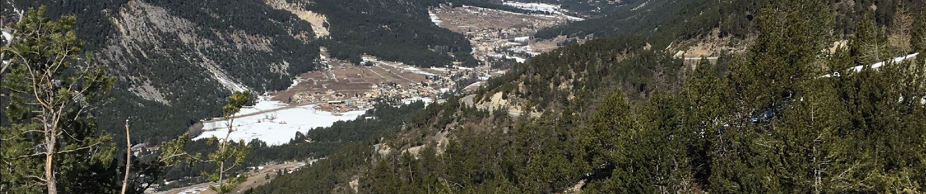 Tour Schneeschuhwandern Montgenèvre - Bois de Sestrières - Photo